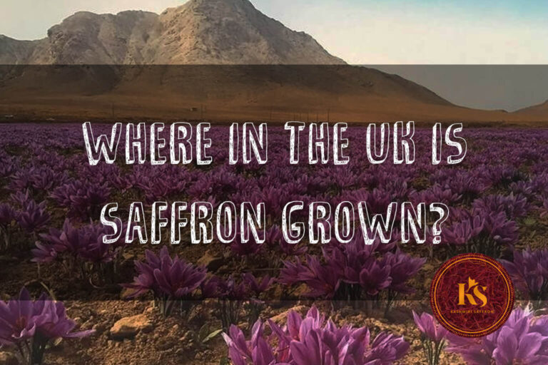 Where in the UK is saffron grown?